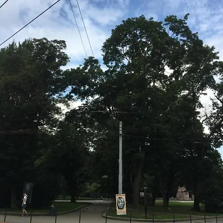 City Park Lviv